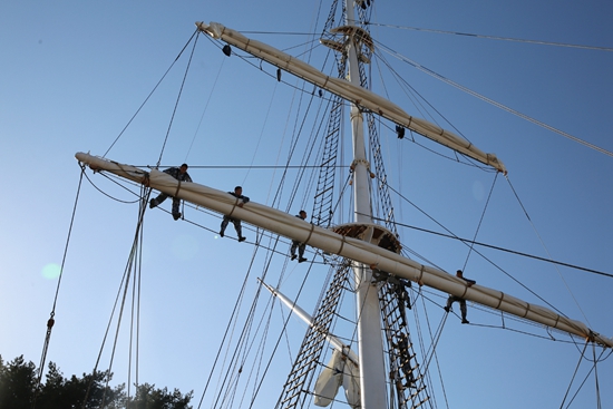 1481800783320767.jpg 1481738864503_1.jpg